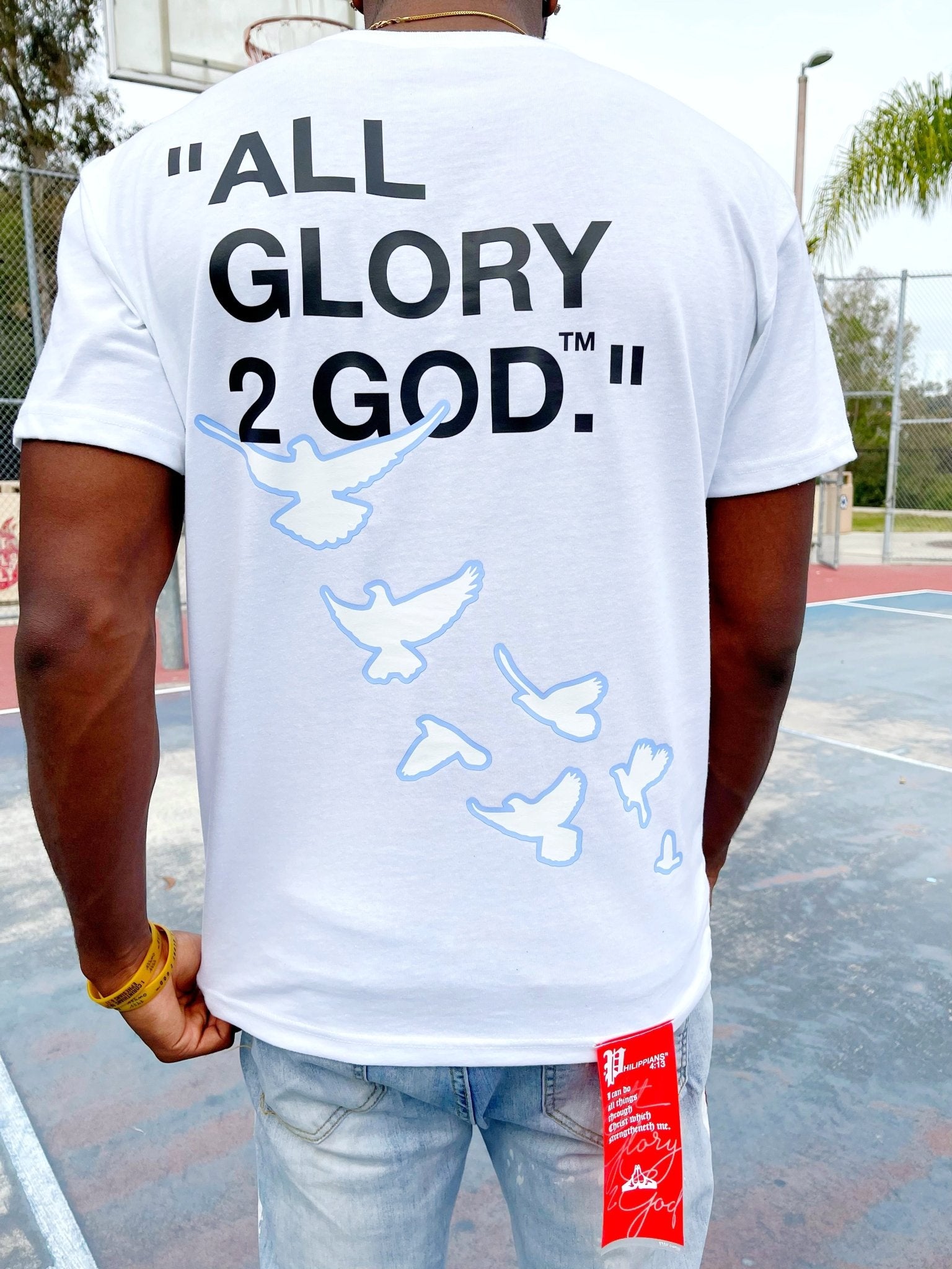 'Baby Blue' Designer "Flocka Doves" Tee - All Glory To God Apparel @AG2G