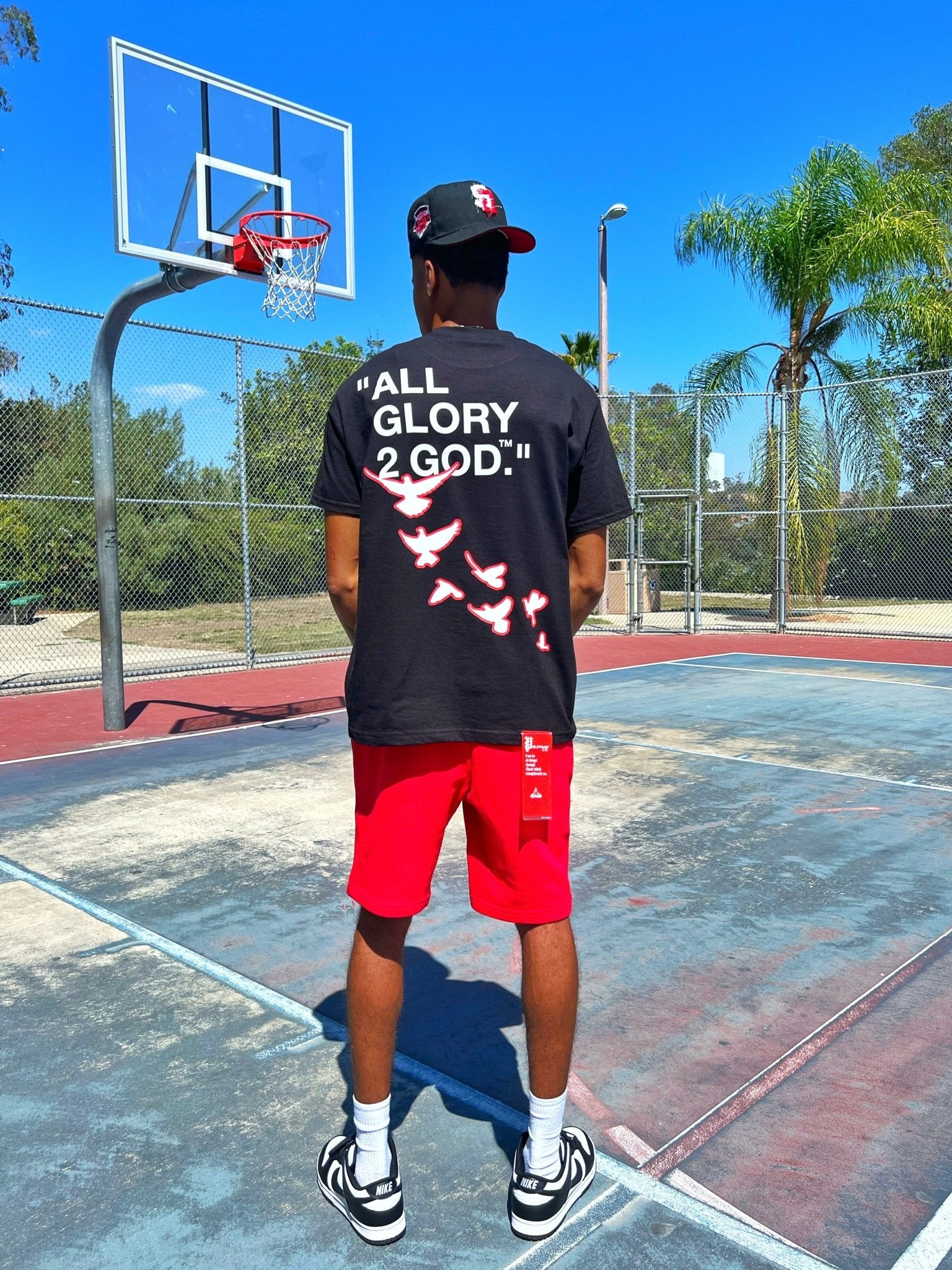 Bred Flocka Doves Tee - All Glory To God Apparel @AG2G | Christian t shirts